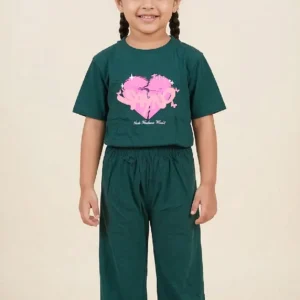 Half Sleeves T-Shirt & Pant 13